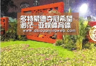 亚娱体育体育