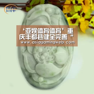 亚娱体育体育