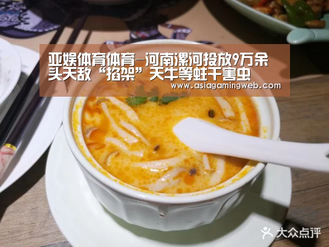亚娱体育体育