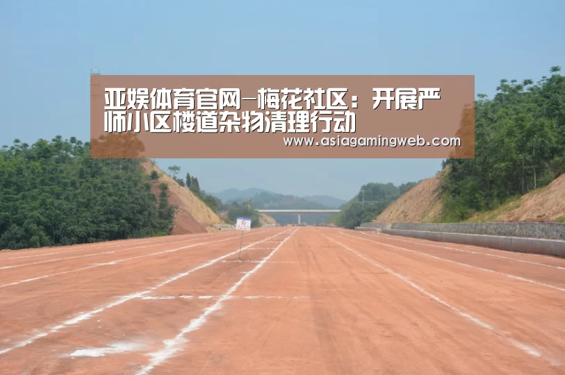 亚娱体育官网-梅花社区:开展严师小区楼道杂物清理行动(图1) 亚娱体育体育