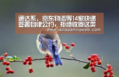 通达系、京东物流等14家快递签署自律公约,拒绝收寄这类物品...‘亚娱体育体育官网’(图1) 亚娱体育体育